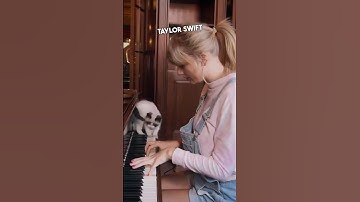 Taylor Swift holds her cat like a human baby 😂 #shorts #taylorswift
