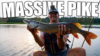 Fishing for HUGE Massachusetts Pike