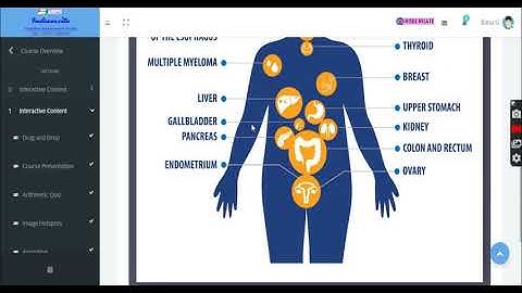 Student - Flashcards & Prersonality Quiz