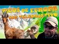 Visito los Picos de Europa con teleobjetivo