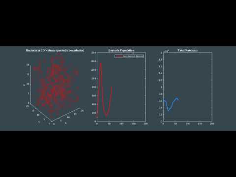 Bacteria Simulation nonquorum