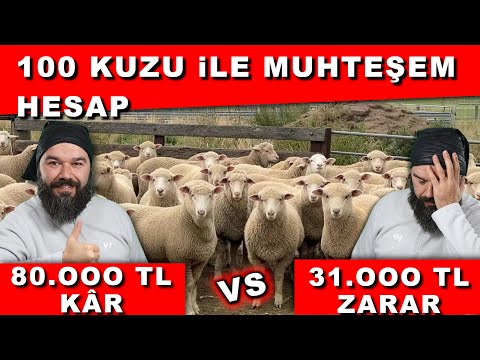 KUZU FİYATLARI UÇTU (100 Kuzu Gelir Gider Hesabı)