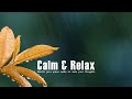 Reading Music for Cozy Nights | Relaxing Ambience for Sleep & Focus