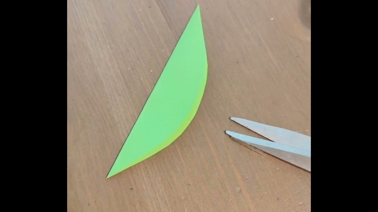 WALLNUT 🐞 LADYBIRD.# 🎨 🖌️ 