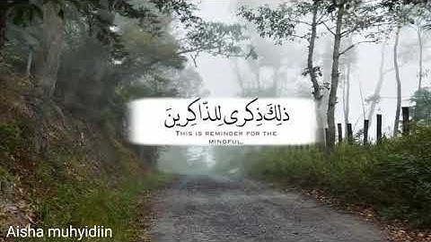 ۝ ﺇِﻥَّ ﺍﻟْﺤَﺴَﻨَﺎﺕِ ﻳُﺬْﻫِﺒْﻦَ ﺍﻟﺴَّﻴِّﺌَﺎﺕِ ۝   ❍ القارئ : ماهر المعيقلي