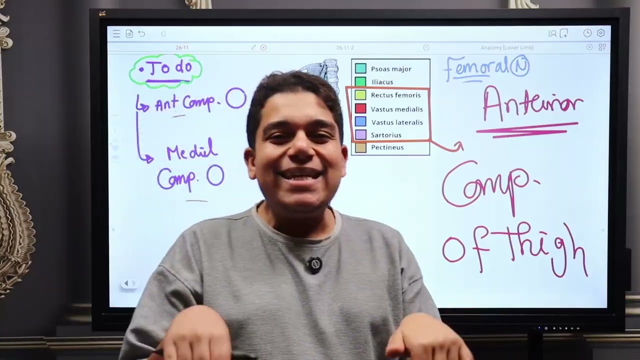 المحاضرة الثانية أناتومي 103 (lower limb ): Anterior & Medial compartment of thigh 