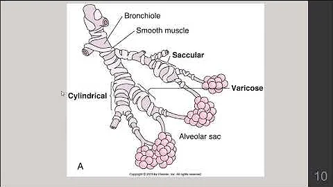Respiratory Disorders l