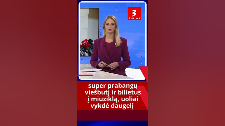 Seimo Pirmininkas aiškina, kad Žemaitaitis melavo valdybai apie kelionę pas Eloną Muską