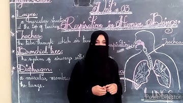 Class - 5 - Science Assignment for Copy # 04