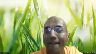 Systematic study of Srila Prabhupad's books