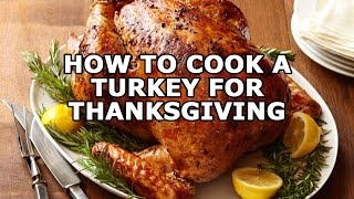 Thanksgiving turkey recipes | christmas how to cook a for