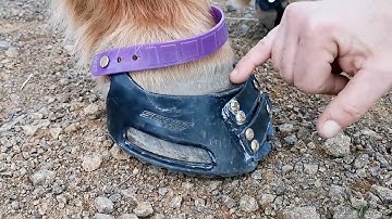 How to check the fit of your Scoot Hoof Boots - Fitting Scoot Boots