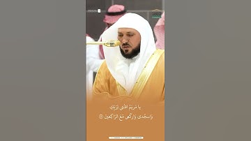 مقتطف من تلاوة الشيخ #ماهر_المعيقلي من عشاء 13 شعبان 1446هـ