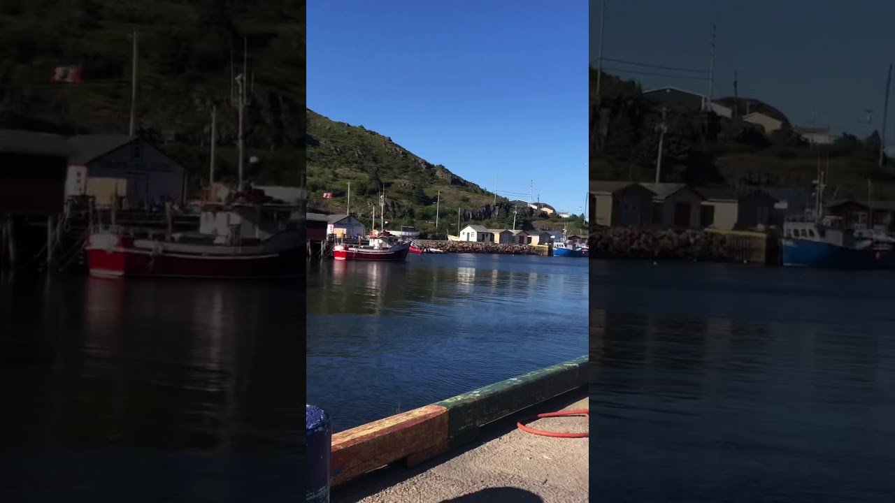 Petty harbour Newfoundland YouTube