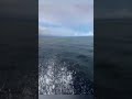 🌊🚤 கடலிலே மாசூம் பையன் காணாமல் போனான்! 😱 | #Shorts #Trending #Viral