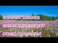 こころ花/水田かおり カラオケ