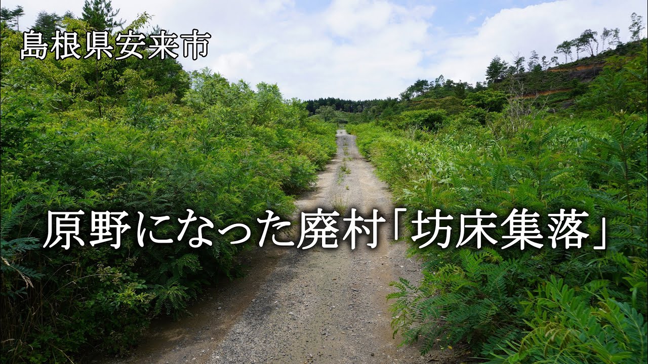島根県安来市　原野になった廃村「坊床集落」