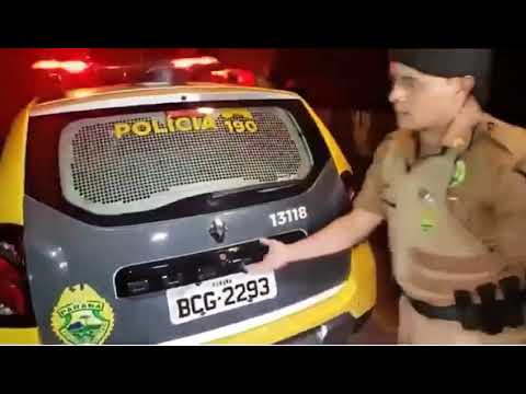 Cachorro vê dona sendo presa e entra em viatura da PM
