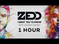 Zedd ft. Selena Gomez - I Want You To Know (1 Hour)