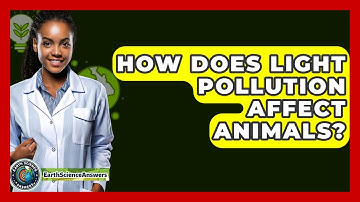 How Does Light Pollution Affect Animals? - Earth Science Answers
