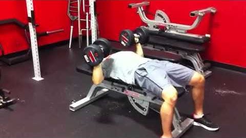 DB Bench Press w/ 5 sec iso hold