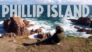 Discover PHILLIP ISLAND