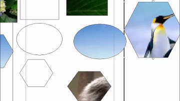 adobe pagemaker 7.0 tutorial hindi (DI)-3