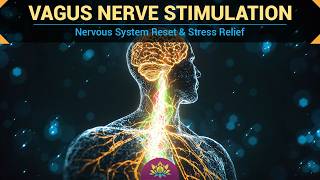 Vagus Nerve Stimulation | Parasympathetic Healing | Nervous System Reset &amp; Stress Relief - 528 Hz