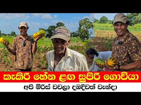 The Farming Couple Traveling the World