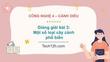 Giảng bài 3: Một số loại cây cảnh phổ biến | Bài giảng công nghệ 4 cánh diều