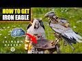 How to Tame Iron Eagle Pet in Crimson Desert
