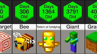 Age Comparison:Minecraft