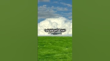 سُــورة مـريم | القارئ عبدالرحمن مسعد #القرآن_الكريم