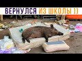 КОГДА ВЕРНУЛСЯ ДОМОЙ))) Приколы | Мемозг 783