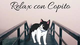 Música para gatos / música para dormir profundamente / música para meditar by Copito Quiere Vivir 4,694 views 4 years ago 2 hours, 4 minutes