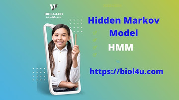 Learn How To Start A Hidden Markov Model