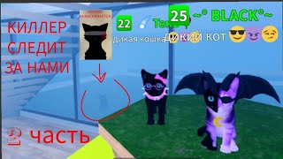 Игра с котятами КИЛЛЕР СЛЕДИТ ЗА НАМИ #2
