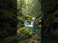 Relaxing Waterfall Sounds in a Lush Green Forest 🌿💧