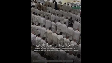 ﴿وَأَنَّ هذا صِراطي مُستَقيمًا فَاتَّبِعوهُ﴾ من سورة الأنعام .. الشيخ عبدالرحمن السديس🤍..