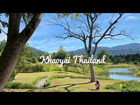 Thailand Travel Guide : Khaoyai Camping ⛺️🕊🌲 (ENG)