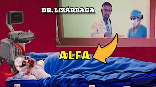 Thumbnail for ASÍ FUNCIONA EL LABORATORIO DE LOS PAYASOS DE LA DEEP WEB