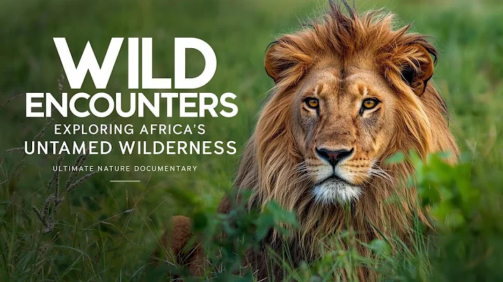 Wild Encounters: Exploring Africa’s Untamed Wilderness | Ultimate Nature Documentary thumbnail