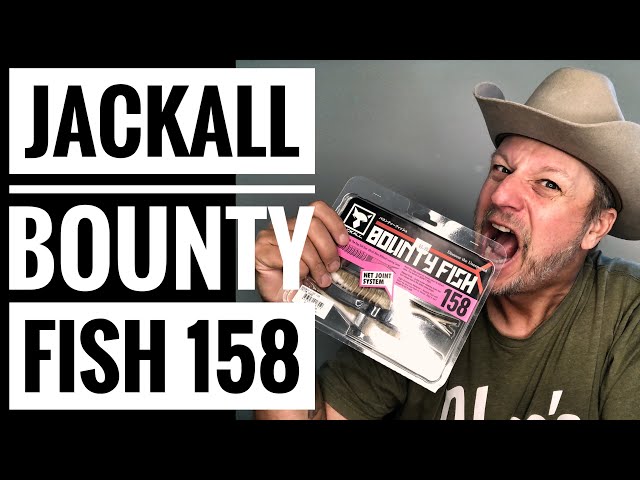 Jackall Bounty Fish - Rigging and Tips ! 