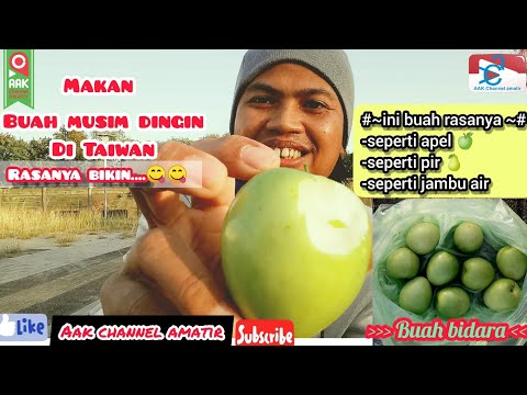 Video: Buah musim dingin