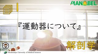 解剖学『運動器について』