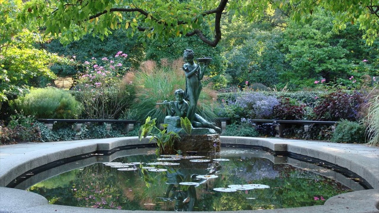 Succulent Garden Fountains Ideas YouTube