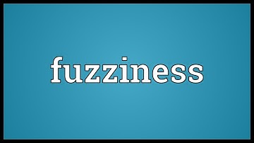 Fuzziness Meaning