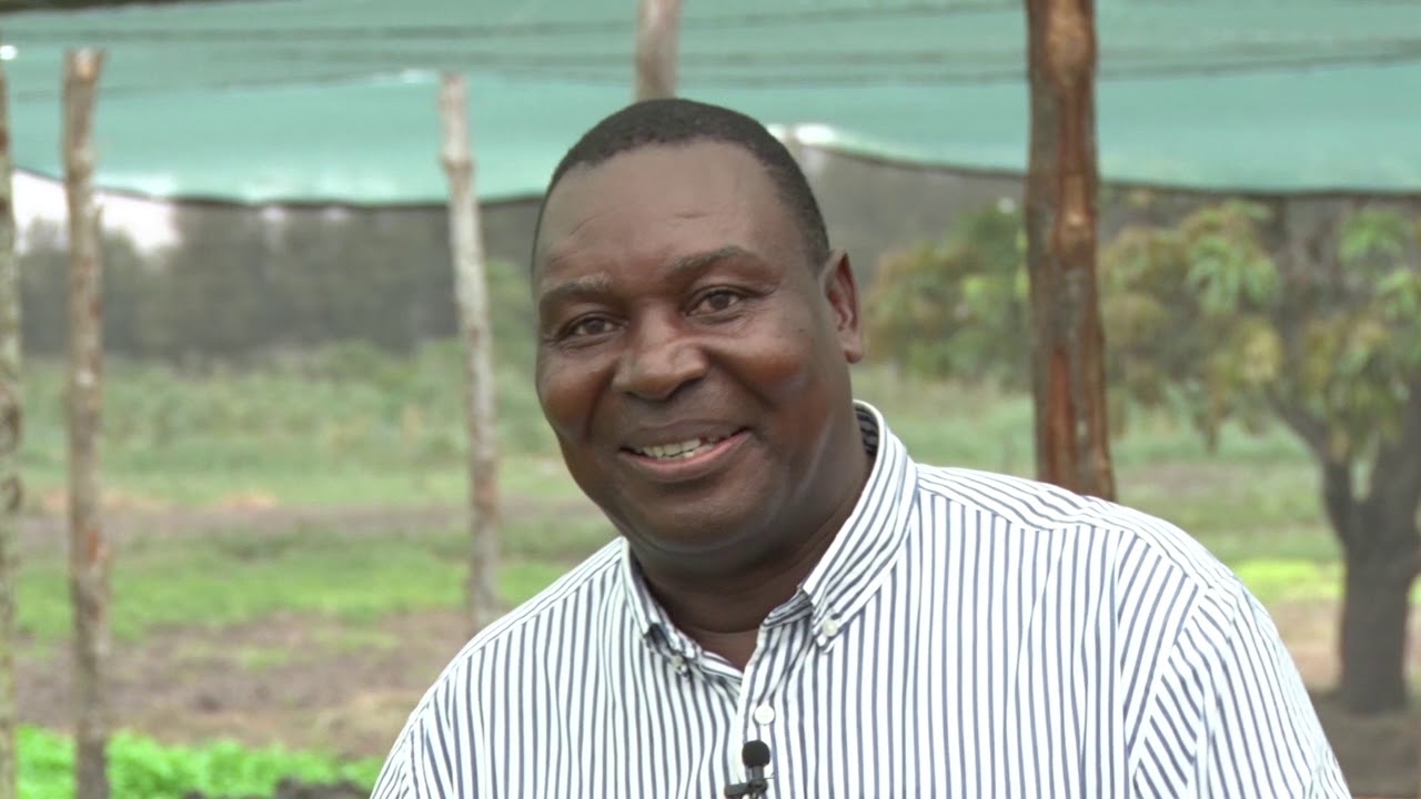 Ângelo Cumaio um produtor que fecha a cadeia de valor da Horticultura