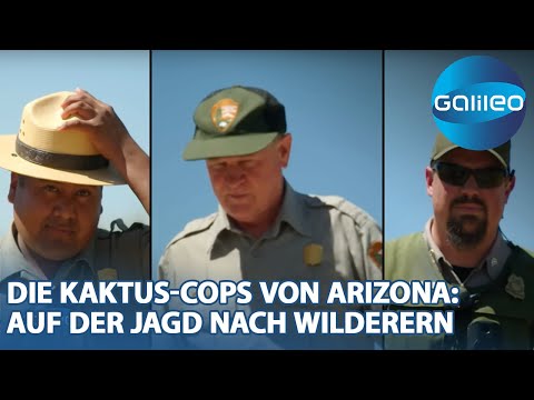 Video: Saguaro - den største kaktusen i verden