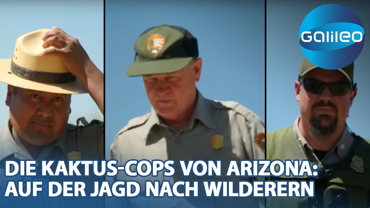 Stachelige Wchter: Die Saguaro-Wchter im Einsatz gegen Kaktus-Wilderer!